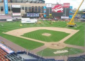Shea Stadium